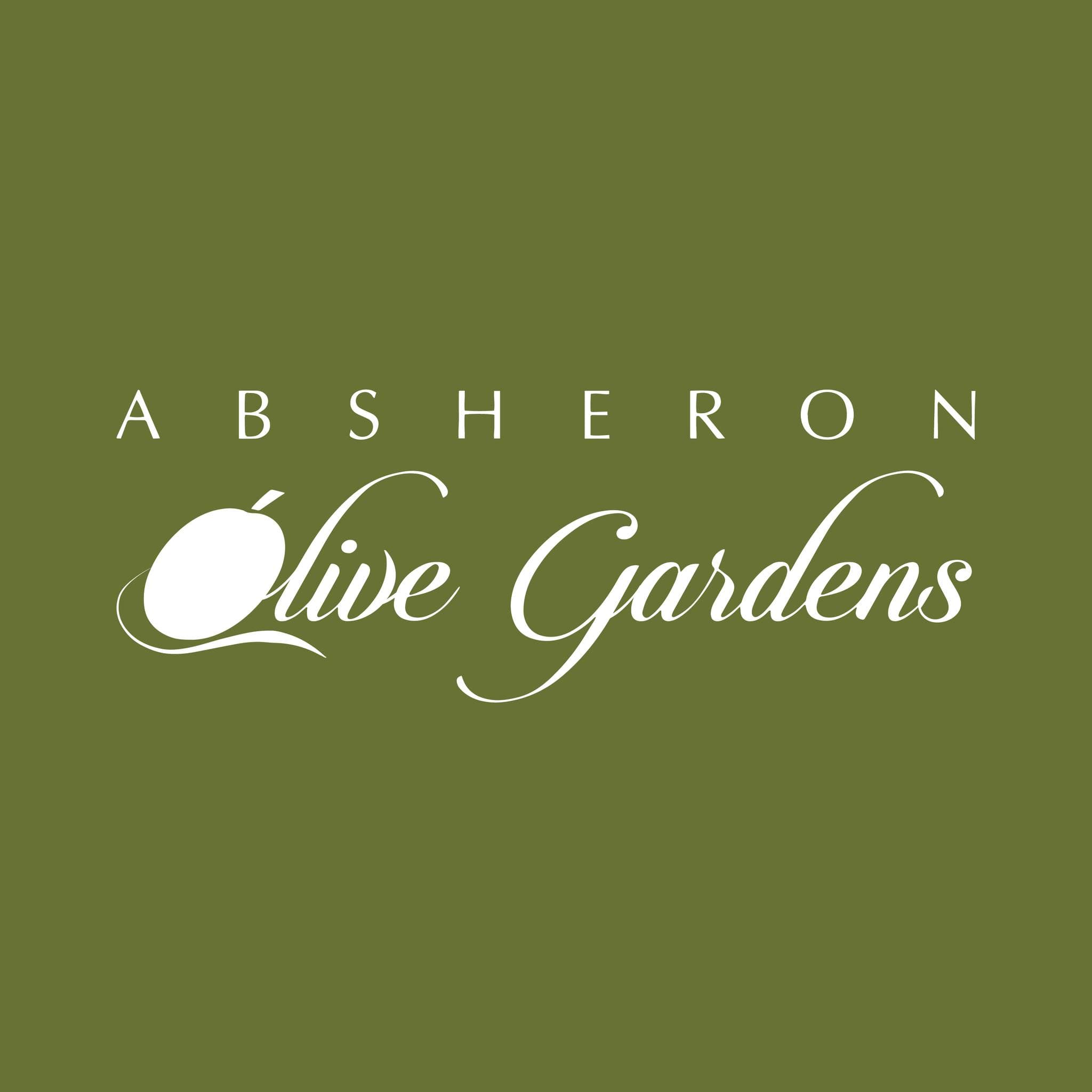 Absheron Olive